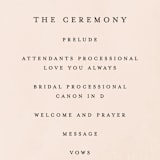 "Simply Perfect" - Wedding Programs in Blush by Brianne Larsen - Detail