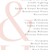 "over and over" - Wedding Programs in Soft Peach by Lea Delaveris - Detail