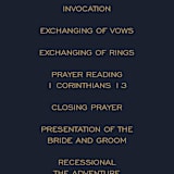 "Paradise" - Wedding Programs in Midnight Ocean by GeekInk Design - Detail