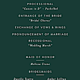 "Picture Perfect" - Wedding Programs in Diamond by Amy Payne - Detail