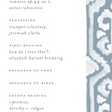"Painted Ikat" - Wedding Programs in Frost by Liz Conley - Detail