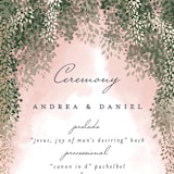 "veil sweet" - Wedding Programs in Blush by Cass Imagines - Detail
