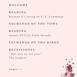 "Mod Brush" - Wedding Programs in Blush by Lisa Fee Paura - Detail