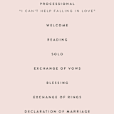 "The Ace" - Wedding Programs in Petal by Rochelle Renee - Detail