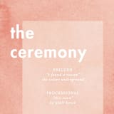 "Contemporary" - Wedding Programs in Peony by Liz Conley - Detail