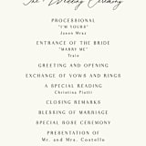 "Tropical Vows" - Wedding Programs in Jade by Chris Griffith - Detail