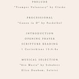 "Scarlet" - Wedding Programs in Blush by Hooray Creative - Detail