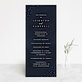 "Celestial" - Wedding Programs in Night Sky by Carly Reed Walker - Front