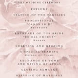 "Wedding Dream" - Wedding Programs in Blush by Chris Griffith - Detail