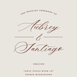 "Streamlined" - Wedding Programs in Nutmeg by Nicole Barreto - Detail
