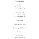 "Blossom" - Wedding Programs in Blush by Susan Moyal - Detail