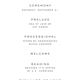 "Carino" - Wedding Programs in Brise by Pati Cascino - Detail