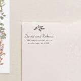 "Holiday Address Stamp No. 11" - Address Stamps in gray by Tara Grangroth
