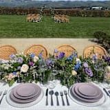 "CASA FINA DINNERWARE // SET OF 4 IN MISTY LILAC" - Wedding Serving and Dining Accessories in purple by borrowed BLU