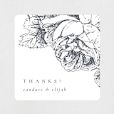 "Delicate" - Wedding Favor Stickers in Pearl by Emily Sabol Goss - Front