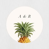 "Party in Paradise" - Wedding Favor Stickers in Pineapple by Erin Hodges - Front