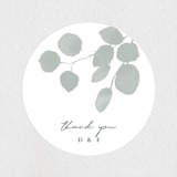 "Silver Dollar Eucalyptus" - Wedding Favor Stickers in Silver Dollar by Shannon Chen of Four Wet Feet Studio - Front
