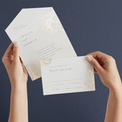 "Sophisticated" - Savvy Wedding Invitations in Ivory by Kelly Schmidt - Animated View