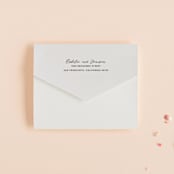 "Destination" - Savvy Wedding Invitations in Mist by Lori Wemple - Closed