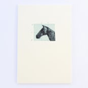 "Horse Latitudes" - Limited Edition Fine Art Print in multicolorassorted-colors by Dana Williamowsky
