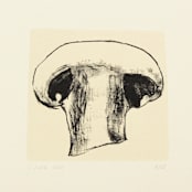 "Harvest Mushroom" - Limited Edition Fine Art Print in multicolorassorted-colors by Dana Williamowsky