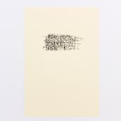 "Cornstalk 2" - Limited Edition Fine Art Print in black by Dana Williamowsky