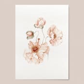 "Icelandic Poppies Flowers" - Limited Edition Fine Art Print in orange by Angele Kamp