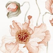 "Icelandic Poppies Flowers" - Limited Edition Fine Art Print in orange by Angele Kamp
