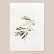 "Green Olive Branch" - Limited Edition Fine Art Print in green by Angele Kamp