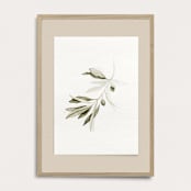 "Green Olive Branch" - Limited Edition Fine Art Print in green by Angele Kamp