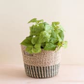 "Grey + Natural Tapered Basket" - Decorative Baskets in gray by LIKHA