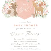"Banner announcement" - Baby Shower Invitations in Petal by Jennifer Wick - Detail