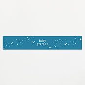 "Sea Adventure" - Baby Shower Belly Bands in Aqua by Snow and Ivy - Front