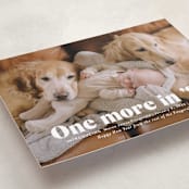 "There is one more" - Holiday Birth Announcement Cards in Snow by Jackie Crawford - Detail