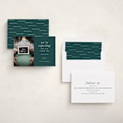 "Expecting" - Holiday Birth Announcement Cards in Ivy by Corinne Malesic - Assembled