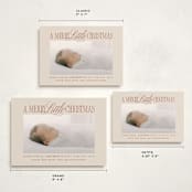 "Littlest Christmas" - Holiday Birth Announcement Cards in Cinnamon by Brooke Chandler - Formats Available