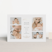 "Delicate Foliage" - Birth Announcements in Onyx by Brandy Folse - Front