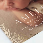 "Botanica Frame" - Birth Announcements in Vanilla by Laura Hankins - Detail