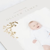 "Tiny Sprigs" - Birth Announcements in Latte by Kristie Kern - Detail