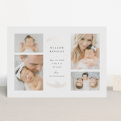"Delicate Foliage" - Birth Announcements in Onyx by Brandy Folse - Front