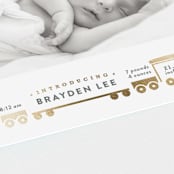 "welcome aboard!" - Birth Announcements in Chalk by Rebecca Durflinger - Detail