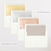 "welcome aboard!" - Birth Announcements in Chalk by Rebecca Durflinger - Envelope Liner Options