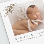 "Leaf Duet" - Birth Announcements in Mocha by Olivia Raufman - Close-Up