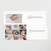"Stork Delivery" - Birth Announcements in Blush by Hallie Fischer - Interior Options