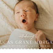 "First Glimpse" - Birth Announcements in Icing by Yaling Hou Suzuki - Detail