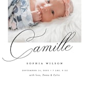 "the script" - Birth Announcements in Ebony by Benita Crandall - Detail