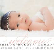 "Graceful Entrance" - Birth Announcements in Flamingo by Jessica Williams - Detail