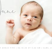 "Chic Introduction" - Birth Announcements in Storm by Olivia Raufman - Detail