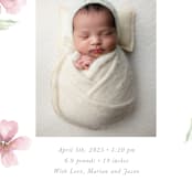 "Flower Petals" - Birth Announcements in Petals by Melinda Denison - Detail