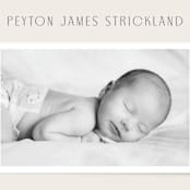 "Classical" - Birth Announcements in Cream by Hooray Creative - Detail